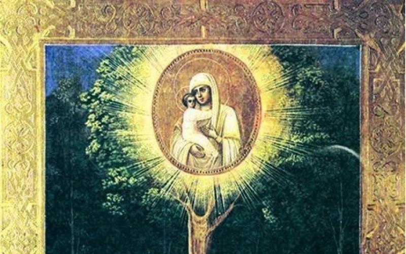 Икона Жировицкой Божьей Матери: описание и история иконы Жировичская икона божьей матери где находится