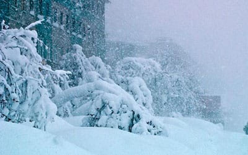 Ни метель ни вьюга. Петропавловск-Камчатский Пурга. Метель. Снег метель. Снежный Буран.