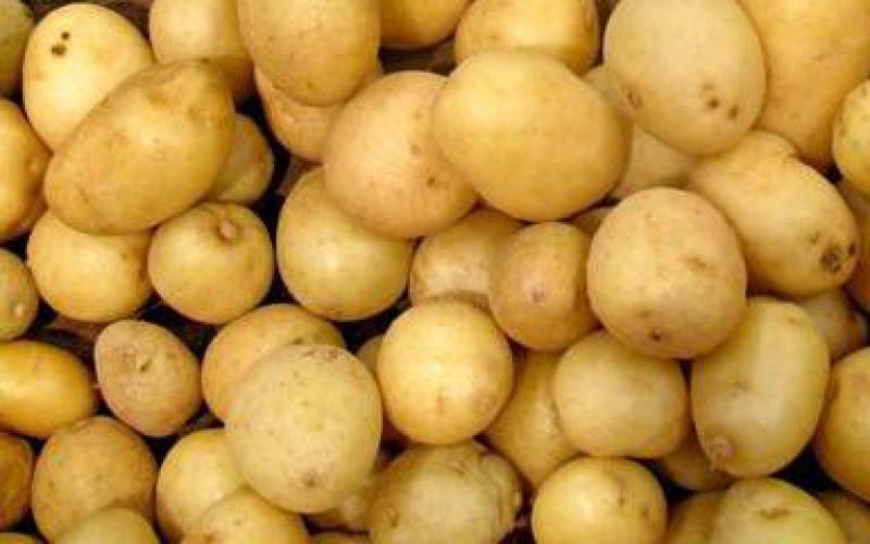 How and how long to cook potatoes for different dishes