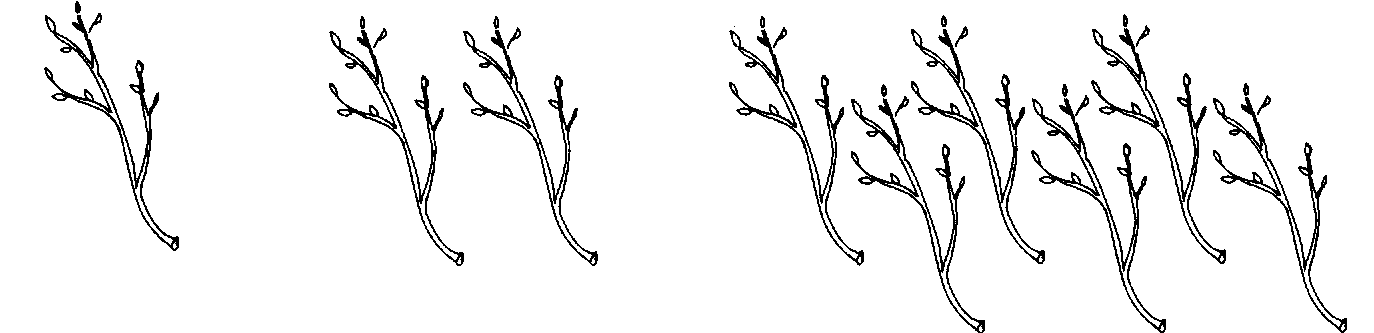 Рисунок веточка с почками