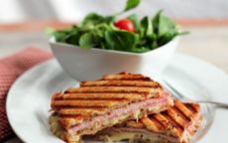 Interesting options for preparing panini Panini with smoked breast and tomatoes