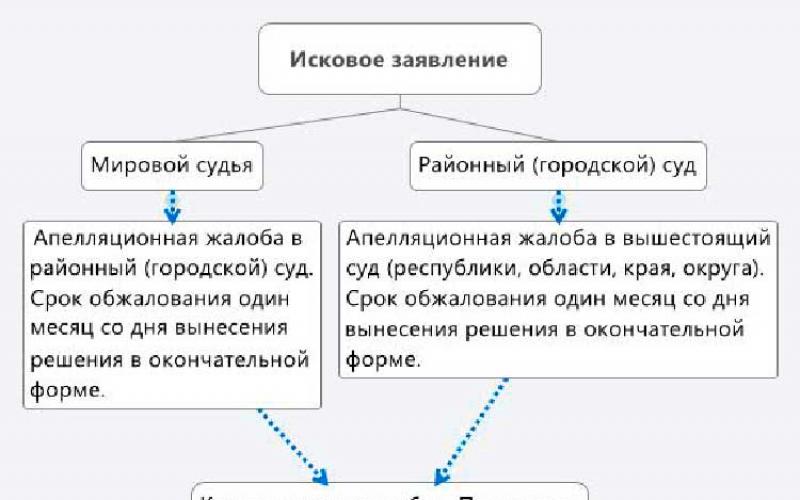 Lhůta pro podání dozorové stížnosti ve správním řízení Opakovaná stížnost k Nejvyššímu soudu Ruské federace Řád správních deliktů