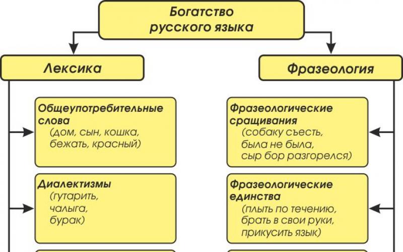 Единицы лексикологии. Основные единицы лексики и фразеологии. Основные понятия и основные единицы лексики и фразеологии шпаргалка. Интеллектуальная карта лексика фразеология. Общеупотребительные слова.