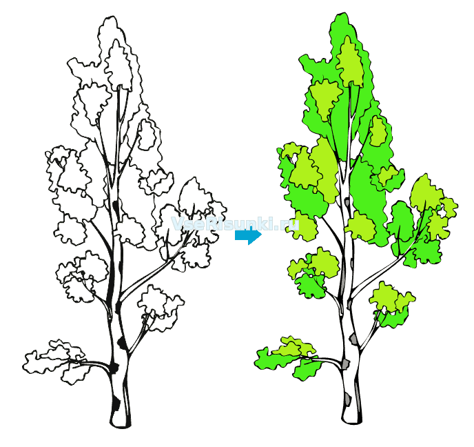 Как нарисовать красивую березу