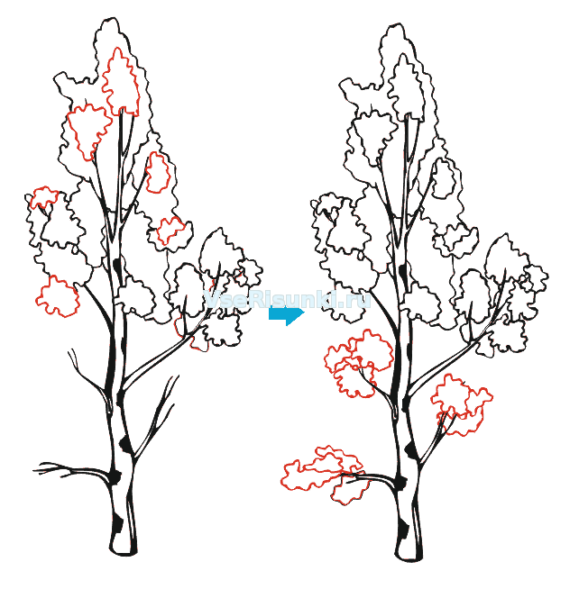 Нарисовать березки поэтапно