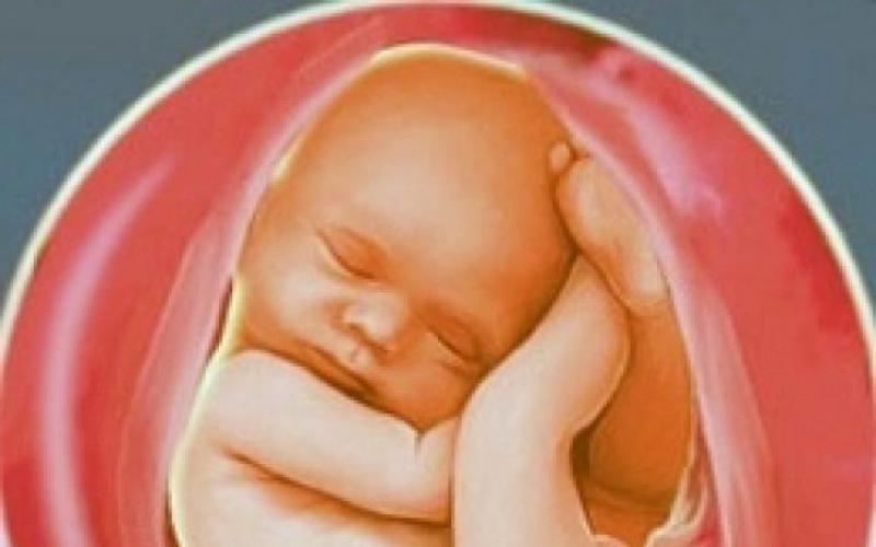 गर्भावस्था का 25वां सप्ताह: बच्चे का क्या होता है, गर्भवती माँ का स्वास्थ्य