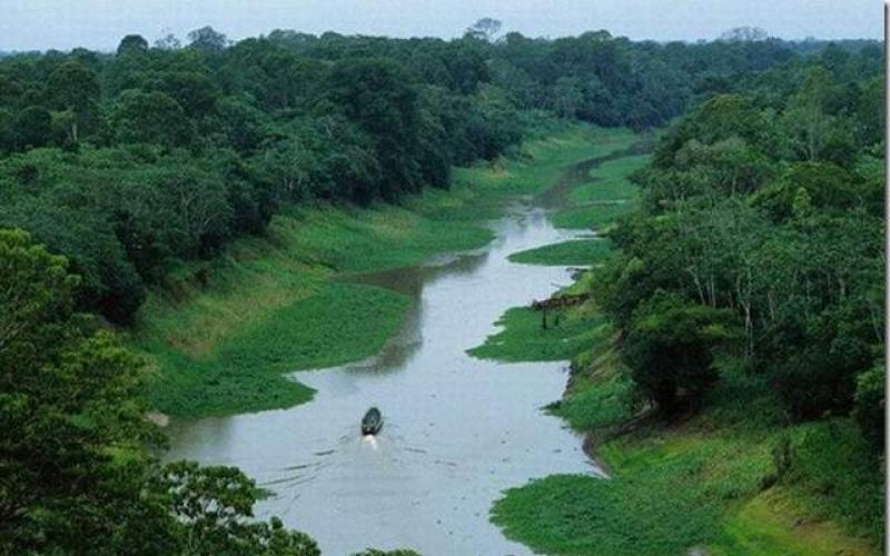Amazonės upė: keletas įdomių faktų