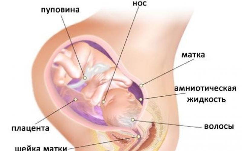 Kako razvit je dojenček in kakšno je stanje matere pri 35 tednih