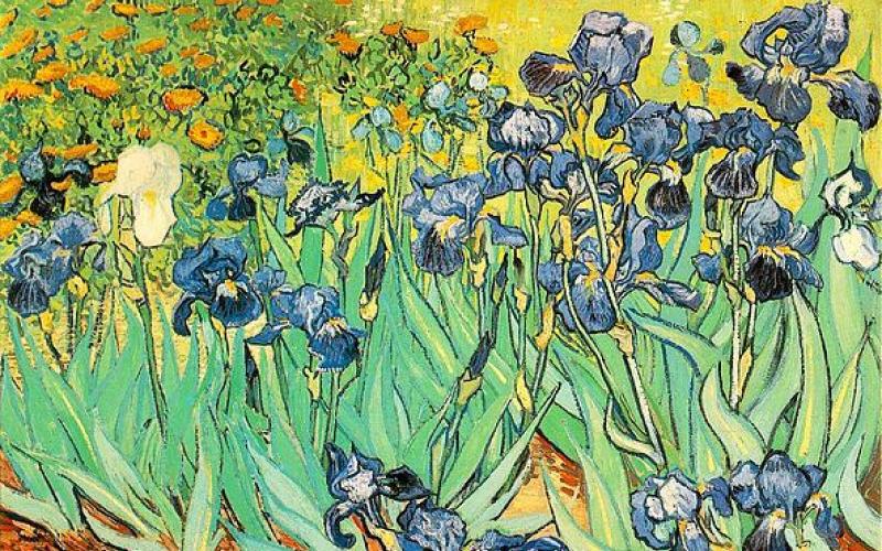 Vincent Van Gogh: biography, interesting facts, video