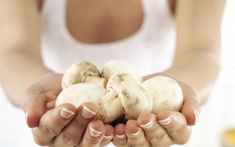 Is it possible to eat mushrooms during pregnancy: benefits and harms