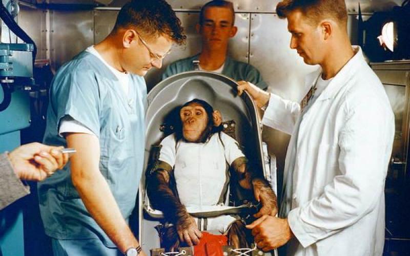 歴史上最初の宇宙飛行士についての23の事実-犬ライカ