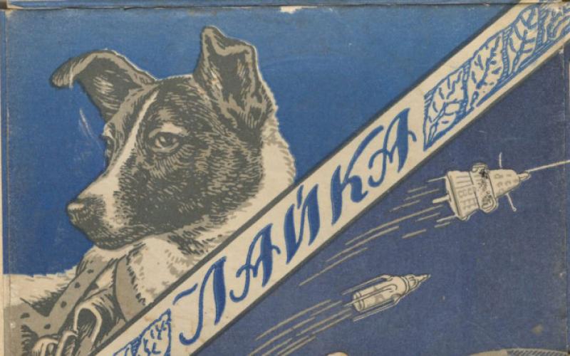This day in history: November 3, 1957 - the dog Laika, who touched the whole world - the FIRST cosmonaut!