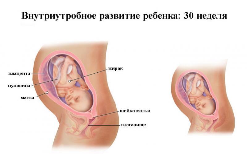 How does mom feel and what happens at 30 weeks